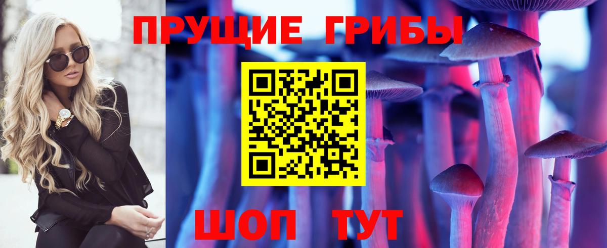 Галлюциногенные грибы GOLDEN TEACHER Камень-на-Оби